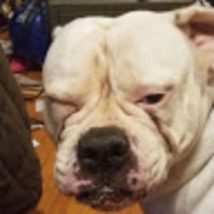 Meet your Posher, Nikkys weird but wonderful